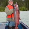 Alaska 2006 015
