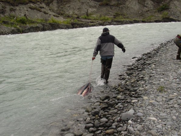 Alaska 2006 030