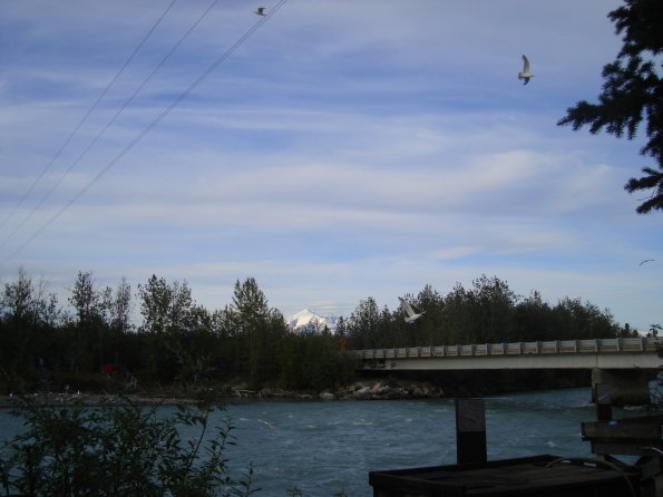 DSC00365