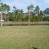 Picture 003